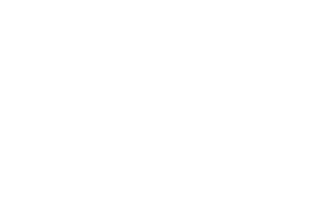 Align Chiropractic & Wellness logo